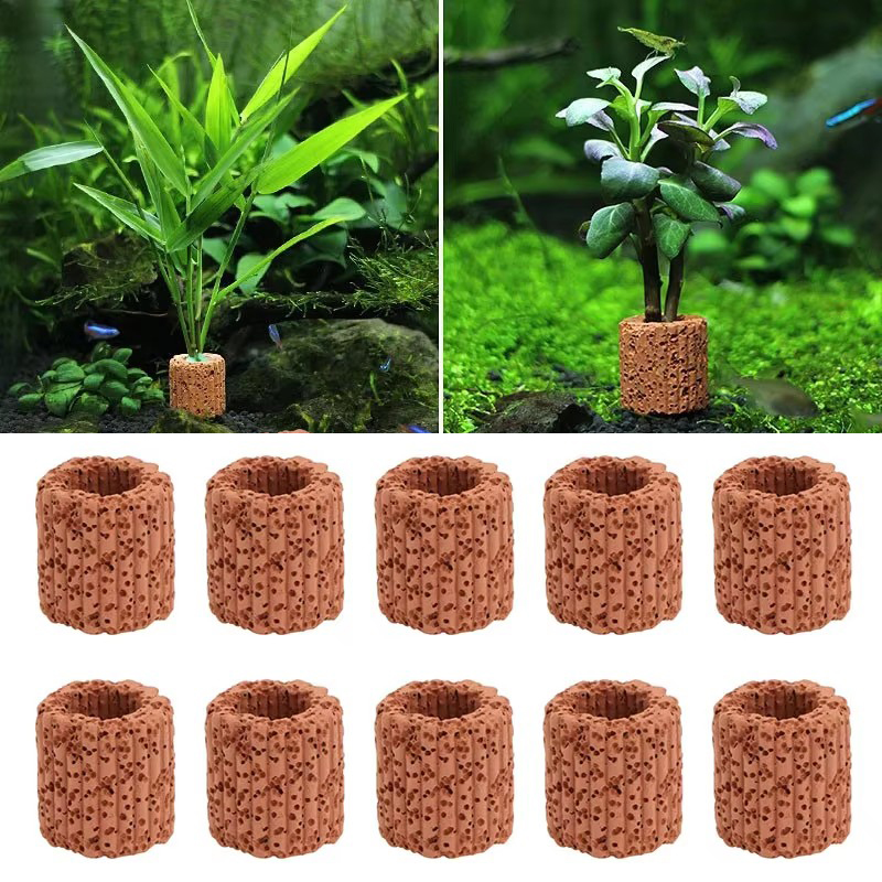 Aquarium Planted Seeds - พืชน้ําแหวนคงที่สําหรับพิพิธภัณฑ์สัตว์น้ําภูมิทัศน์เซรามิคน้ําหม้อแหวนเครื่องมือตกแต่งอุปกรณ์เสริมถังปลา