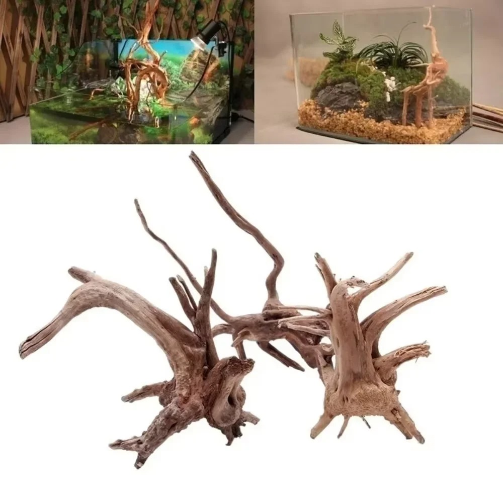 Aquarium Planted Wood - (15-20 ซม.) ไม้ลอยน้ำธรรมชาติสำหรับตกแต่งตู้ปลา - ของตกแต่งตู้ปลาคุณภาพพรีเมียม ไม้แท้สำหรับสร้างภูมิทัศน์ในสภาพแวดล้อมน้ำ