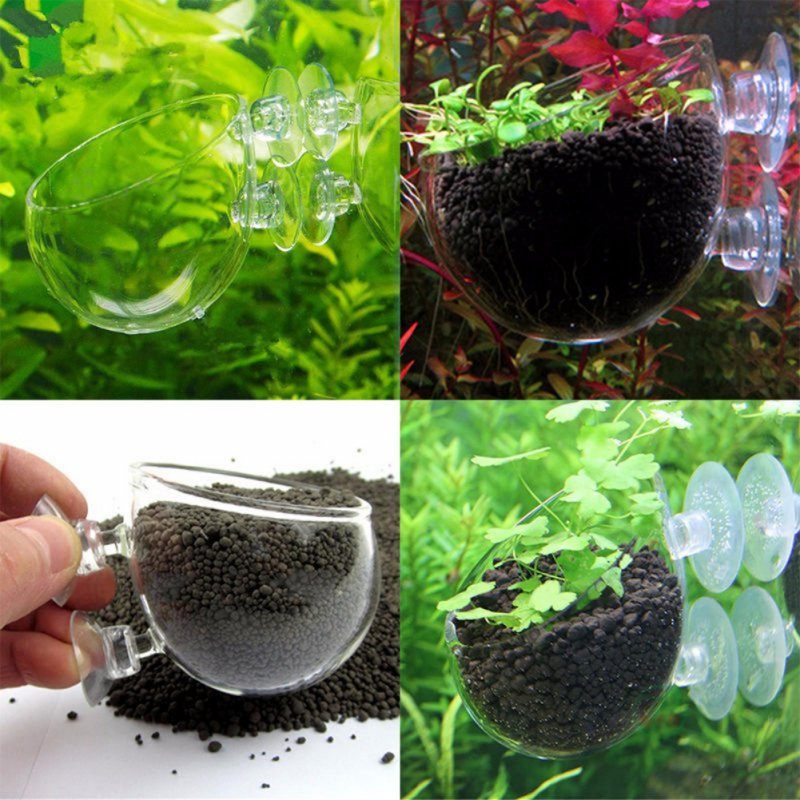 Aquarium Planted Seeds - ถ้วยแก้วทรงกระบอกสำหรับกระถางต้นไม้เพาะพืชน้ำปะการังมอสตู้ปลาแบบแขวนกระถางใส่น้ำ