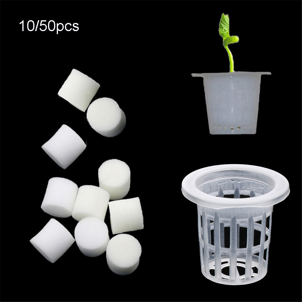 Aquarium Planted Seeds - ถาดเพาะเมล็ดแบบไม่ใช้ดินสำหรับปลูกพืชในตู้ปลา 10/50 ชิ้น ทนทาน กระถางเพาะชำแบบฟองน้ำสำหรับปลูกดอกไม้