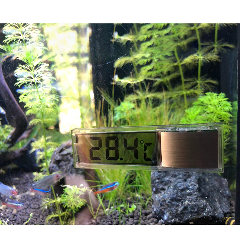 กันน้ำ Aquarium เครื่องวัดอุณห - Aquarium Planted Seeds บทวิจารณ์และราคา