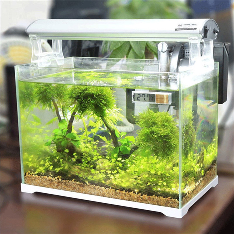 กันน้ำ Aquarium เครื่องวัดอุณห - Aquarium Planted Seeds บทวิจารณ์และราคา
