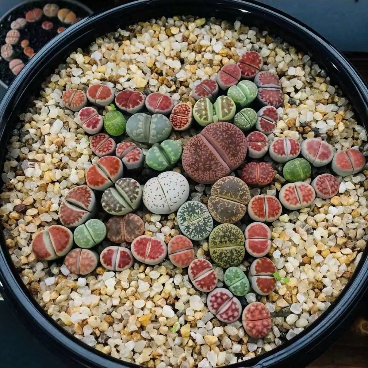 1 pc-250g คริสตัลธรรมชาติกรวดห - Aquarium Planted Sand บทวิจารณ์และราคา