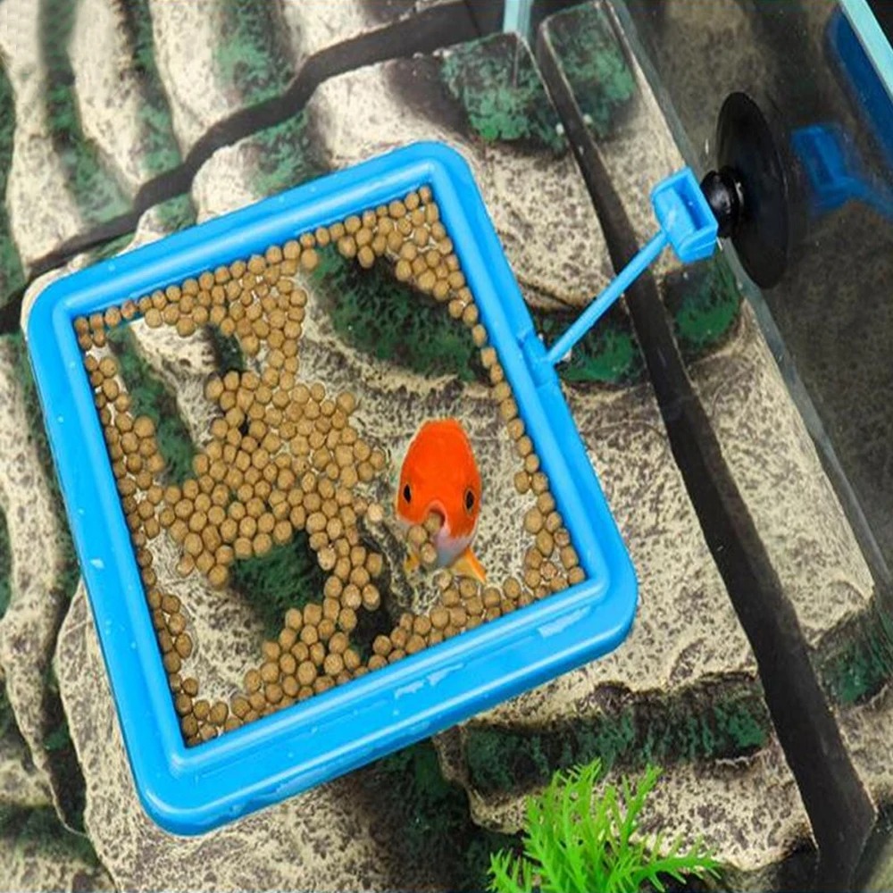 ใหม่ Aquarium Feeding แหวนถังป - Aquarium Plant Nutrients บทวิจารณ์และราคา