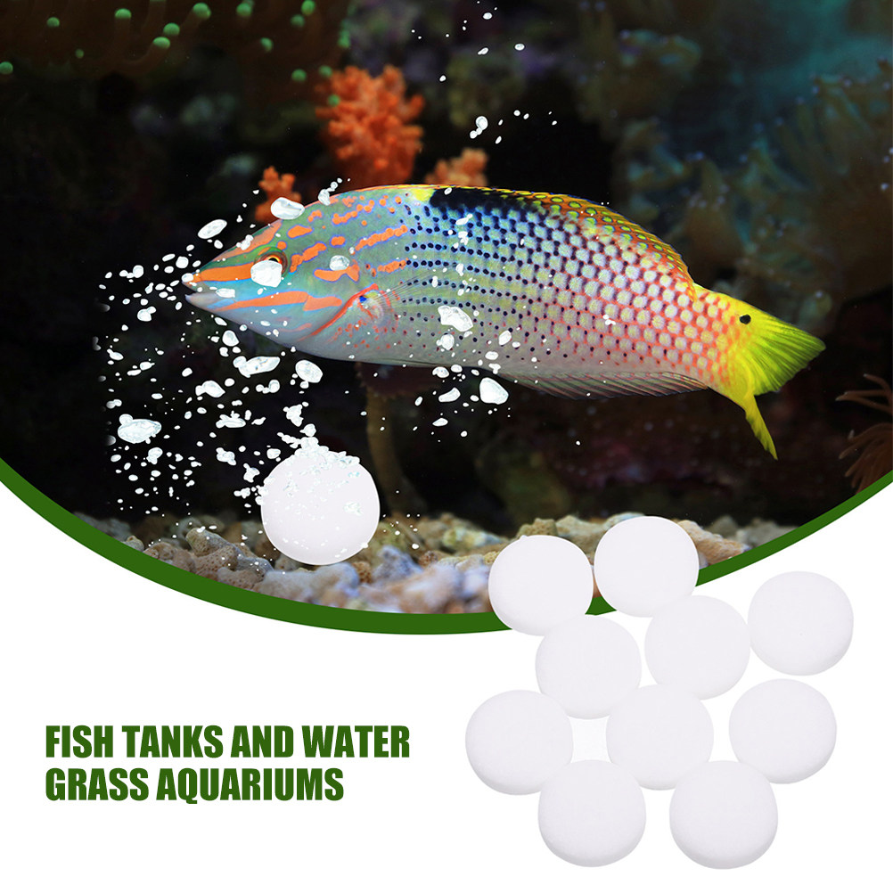 เม็ด CO2 3 ถุง สารเสริมที่มีปร - Aquarium Plant Nutrients บทวิจารณ์และราคา