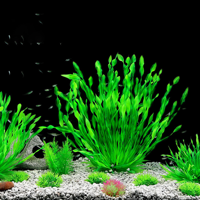 13/23/32/36/40 ซม. ต้นไม้ประดิ - Aquarium Planted Seeds บทวิจารณ์และราคา