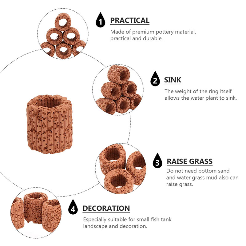 พืชน้ําแหวนคงที่สําหรับพิพิธภั - Aquarium Planted Seeds บทวิจารณ์และราคา
