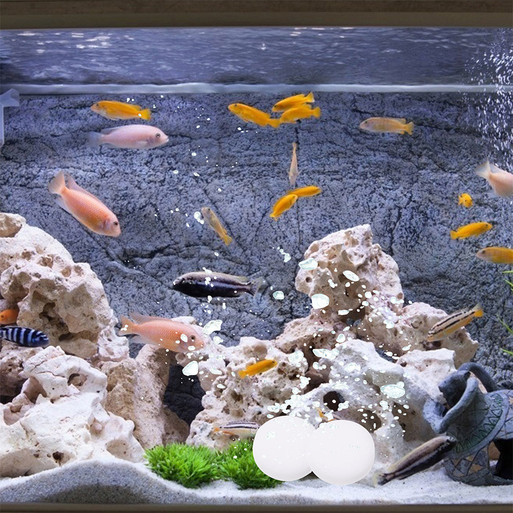 3 ถุง แท็บเล็ต Co2 บустерประสิ - Aquarium Plant Nutrients บทวิจารณ์และราคา