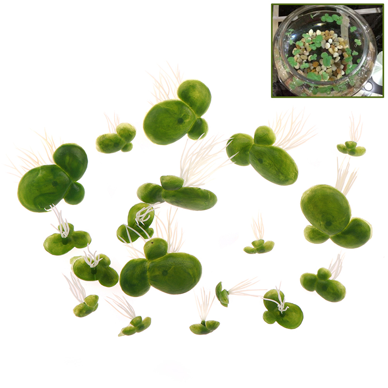 อุปกรณ์ตกแต่งตู้ปลาขนาด18ชิ้น/ - Aquarium Plant Roots บทวิจารณ์และราคา