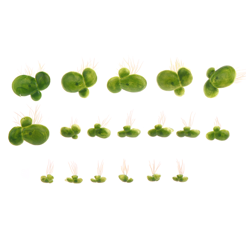 อุปกรณ์ตกแต่งตู้ปลาขนาด18ชิ้น/ - Aquarium Plant Roots บทวิจารณ์และราคา
