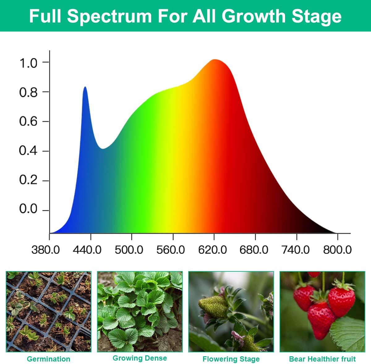 LED Grow โคมไฟพืชเต็มสเปกตรัม  - Aquarium Planted Seeds บทวิจารณ์และราคา