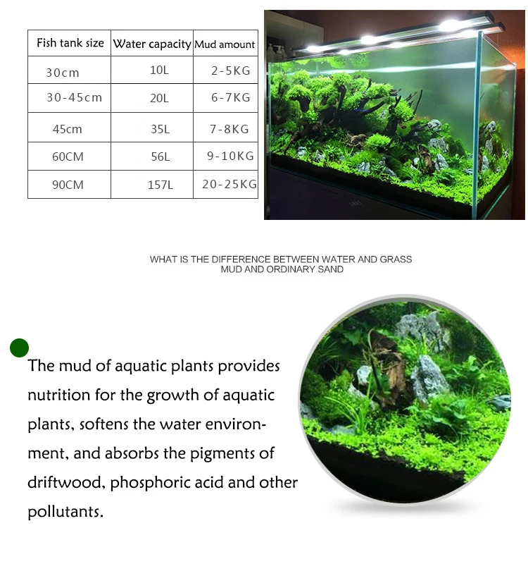 ถังปลาหญ้าน้ำดินดินดินดินดินบ่ - Aquarium Planted Seeds บทวิจารณ์และราคา