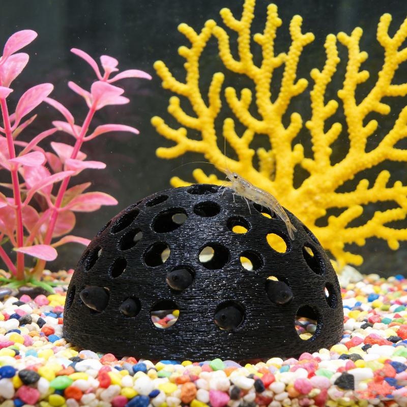 ถ้ำซ่อนในตู้ปลาสำหรับปลาขนาดเล - Aquarium Planted Seeds บทวิจารณ์และราคา
