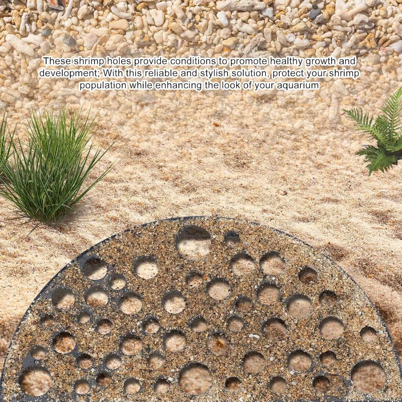 ถ้ำซ่อนในตู้ปลาสำหรับปลาขนาดเล - Aquarium Planted Seeds บทวิจารณ์และราคา