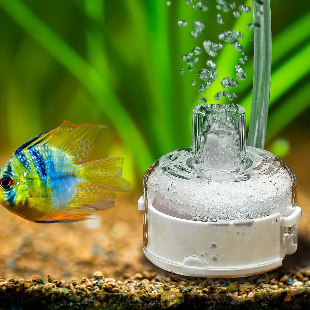 เครื่องกรองตู้ปลาขนาดเล็กบางเฉ - Aquarium Planted Filter บทวิจารณ์และราคา