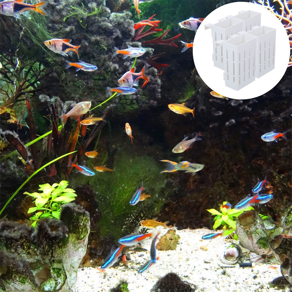ตะกร้าปลูกพืชน้ำ 4 ชิ้น วัสดุพ - Aquarium Plant Roots บทวิจารณ์และราคา