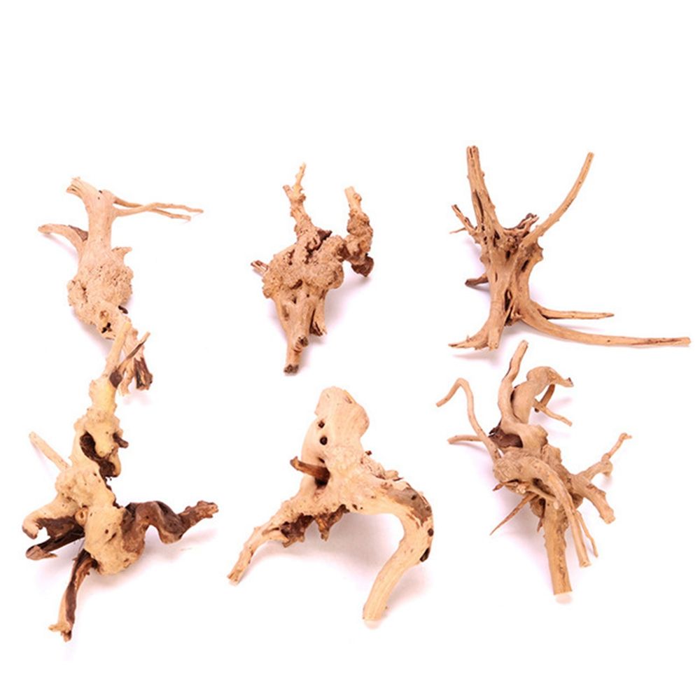ไม้ตกแต่งตู้ปลา N1N สำหรับจัดส - Aquarium Planted Wood บทวิจารณ์และราคา