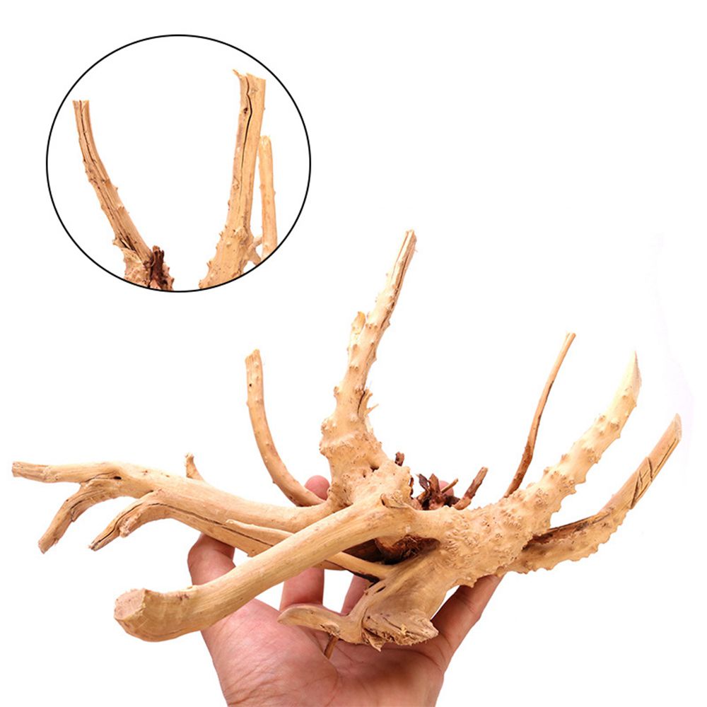 ไม้ตกแต่งตู้ปลา N1N สำหรับจัดส - Aquarium Planted Wood บทวิจารณ์และราคา