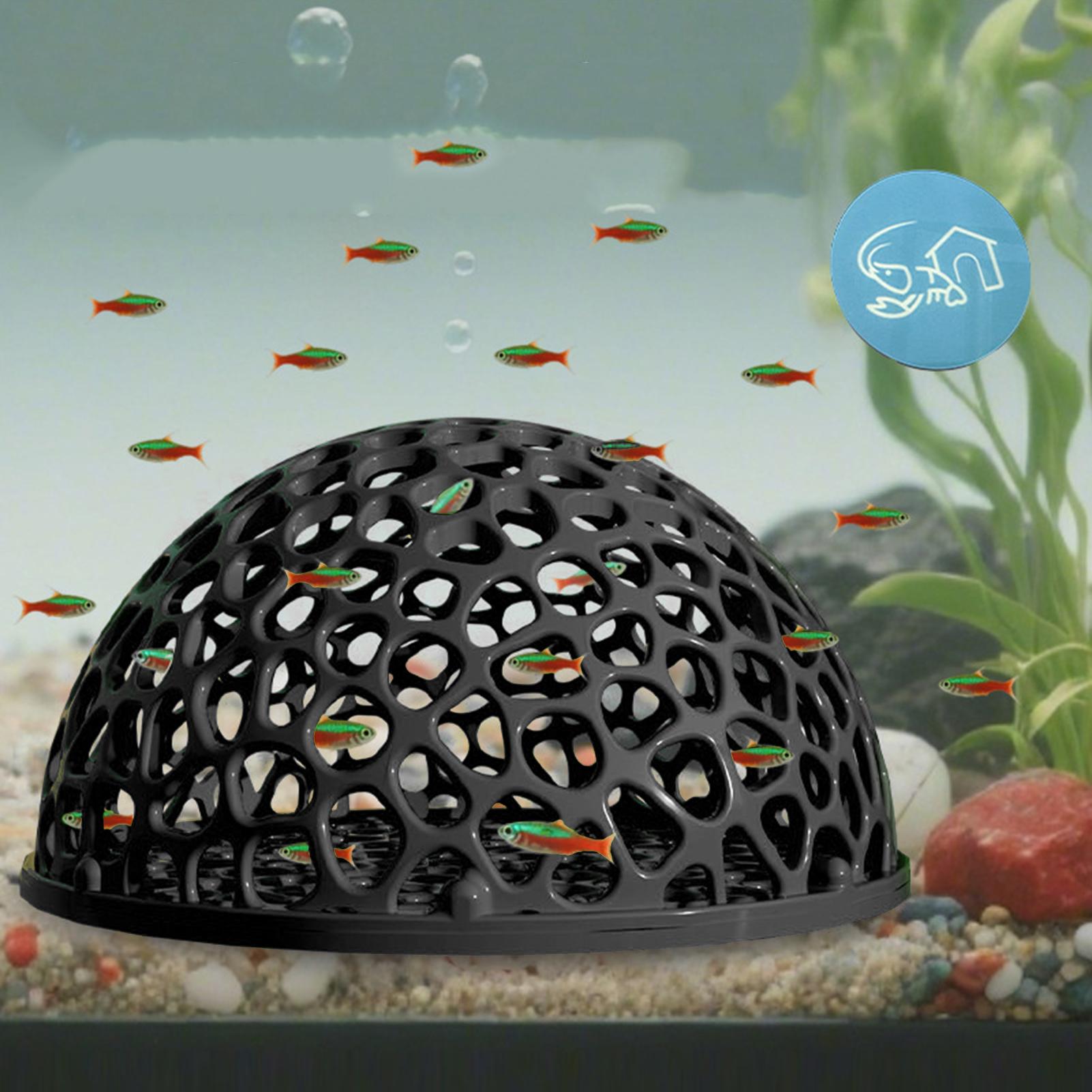 ถ้ำเพาะพันธุ์กุ้ง ตู้ปลา ที่ซ่ - Aquarium Planted Seeds บทวิจารณ์และราคา