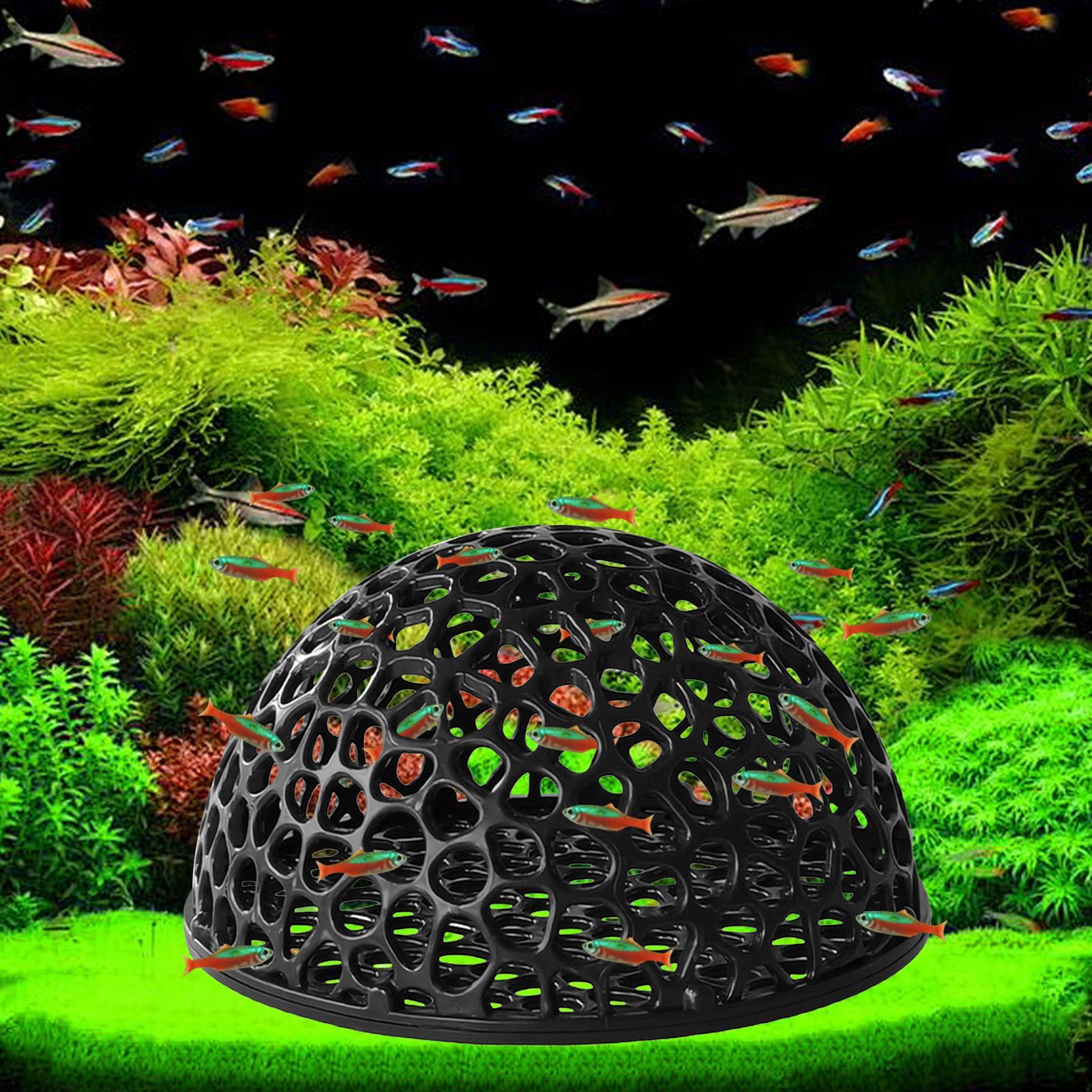 ถ้ำเพาะพันธุ์กุ้ง ตู้ปลา ที่ซ่ - Aquarium Planted Seeds บทวิจารณ์และราคา