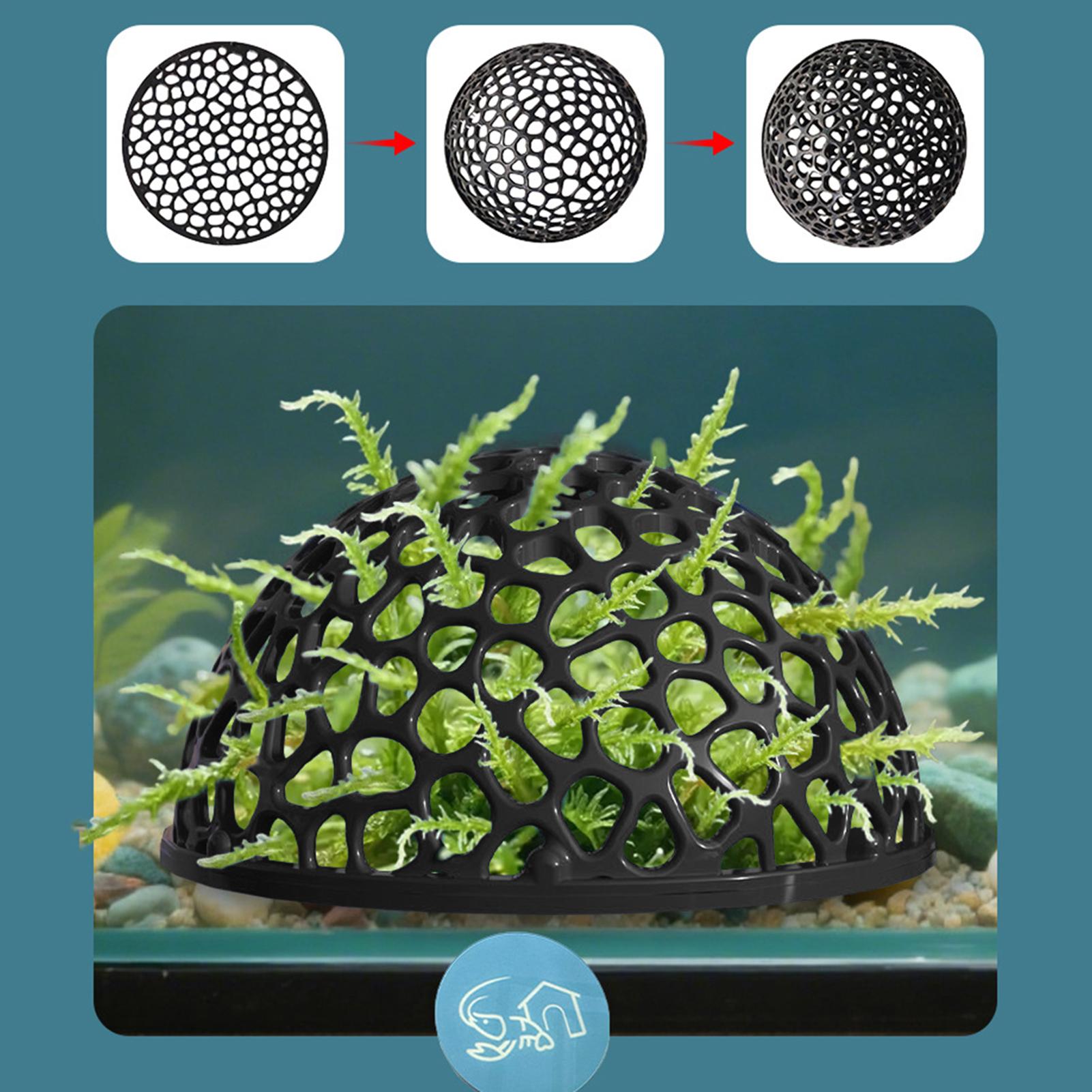 ถ้ำเพาะพันธุ์กุ้ง ตู้ปลา ที่ซ่ - Aquarium Planted Seeds บทวิจารณ์และราคา