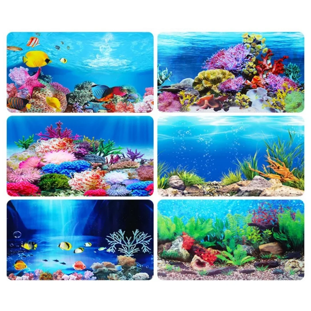 พื้นหลัง Aquarium 3D สติกเกอร์ - Aquarium Planted Seeds บทวิจารณ์และราคา