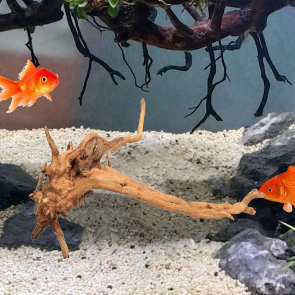 ลำต้นของต้นไม้ธรรมชาติตกแต่งงา - Aquarium Planted Wood บทวิจารณ์และราคา