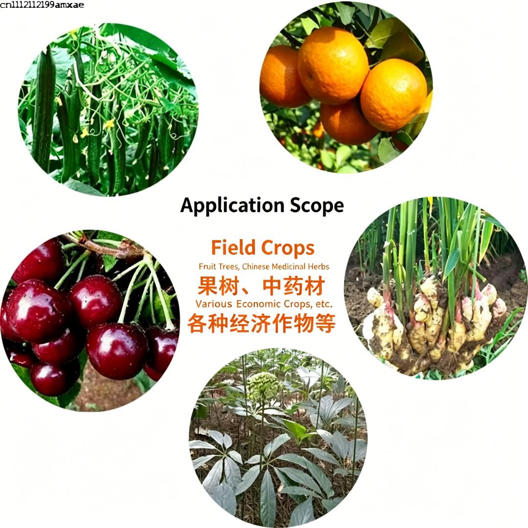 ผงแบคทีเรียบาซิลลัส ซับทิลิส ท - Aquarium Plant Roots บทวิจารณ์และราคา