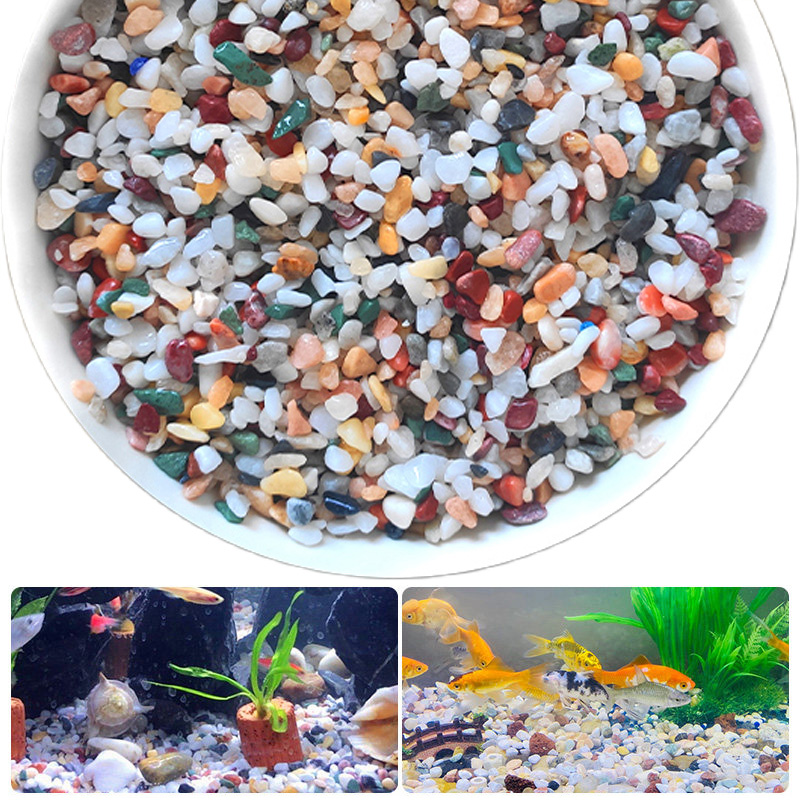 หินกรวดธรรมชาติ 200~1000 กรัม  - Aquarium Planted Sand บทวิจารณ์และราคา