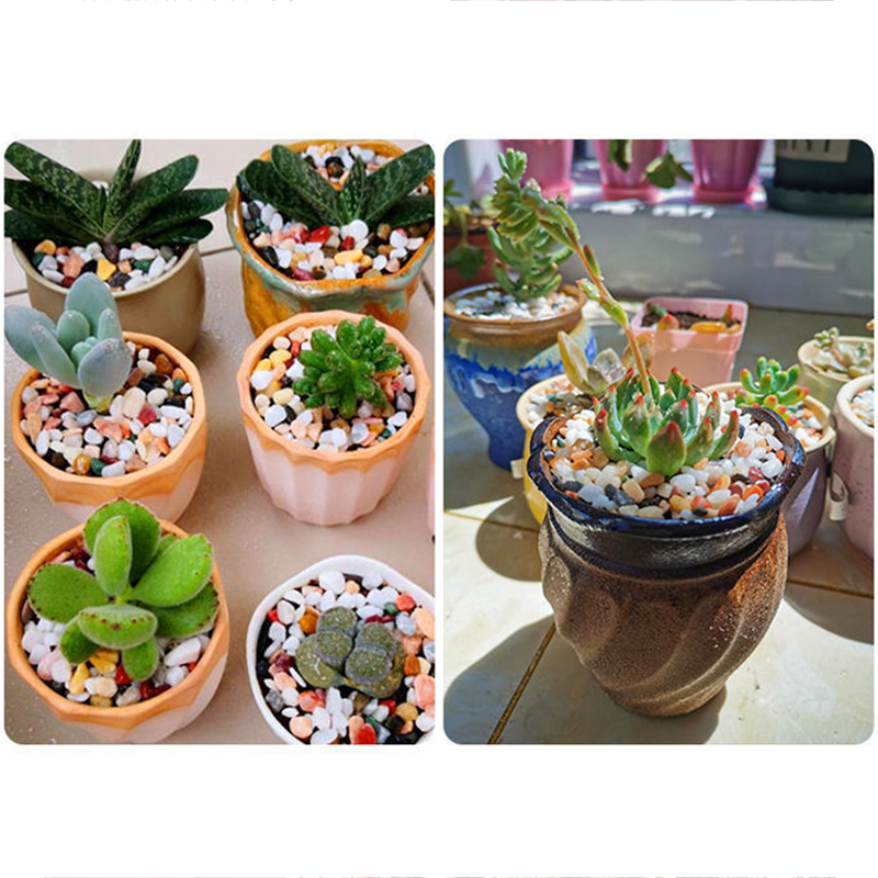 ทรายก้นตู้ปลา DIY อุปกรณ์เสริม - Aquarium Planted Sand บทวิจารณ์และราคา