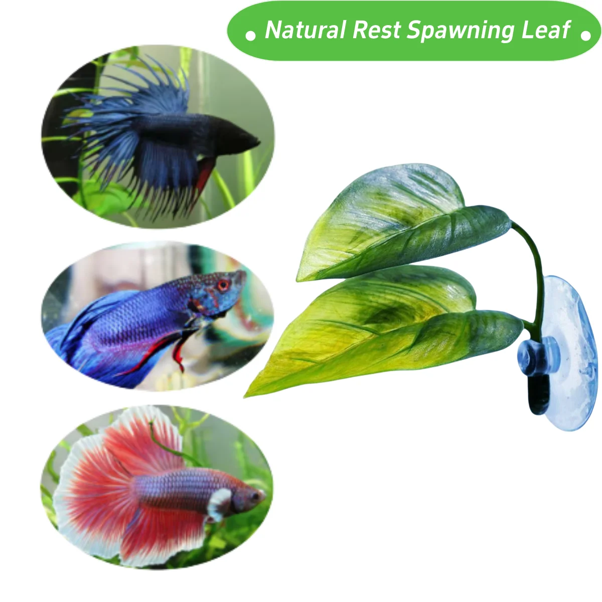 ของตกแต่งตู้ปลาสำหรับสัตว์เลี้ - Aquarium Plant Roots บทวิจารณ์และราคา