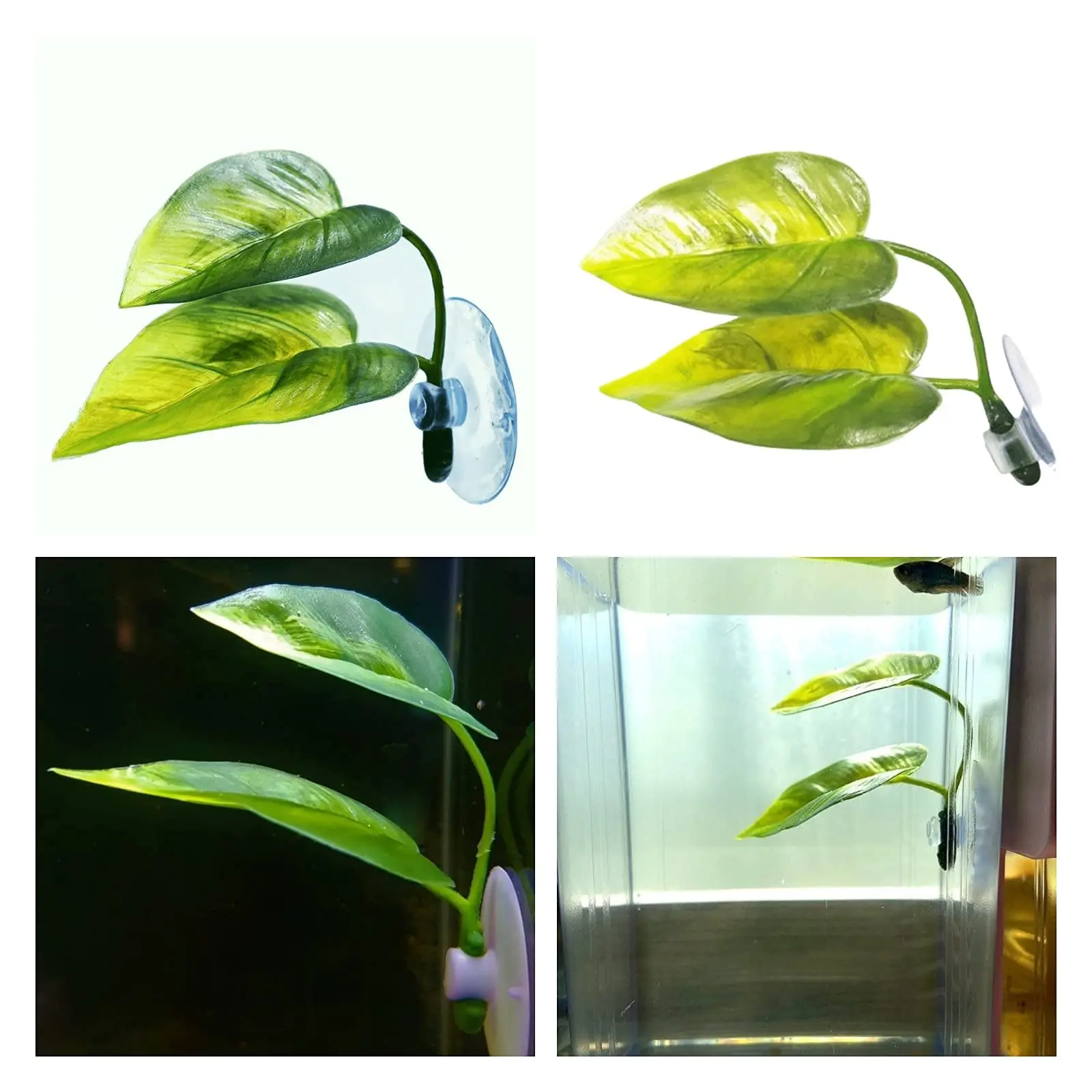 ของตกแต่งตู้ปลาสำหรับสัตว์เลี้ - Aquarium Plant Roots บทวิจารณ์และราคา