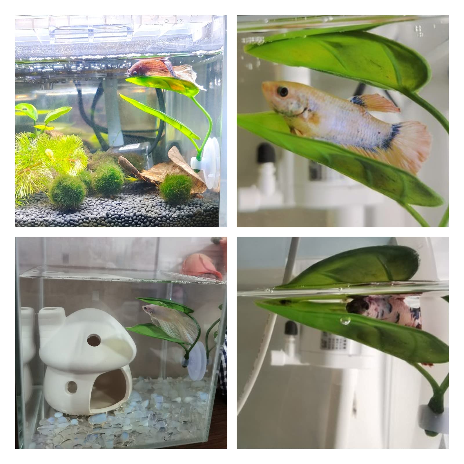 ของตกแต่งตู้ปลาสำหรับสัตว์เลี้ - Aquarium Plant Roots บทวิจารณ์และราคา