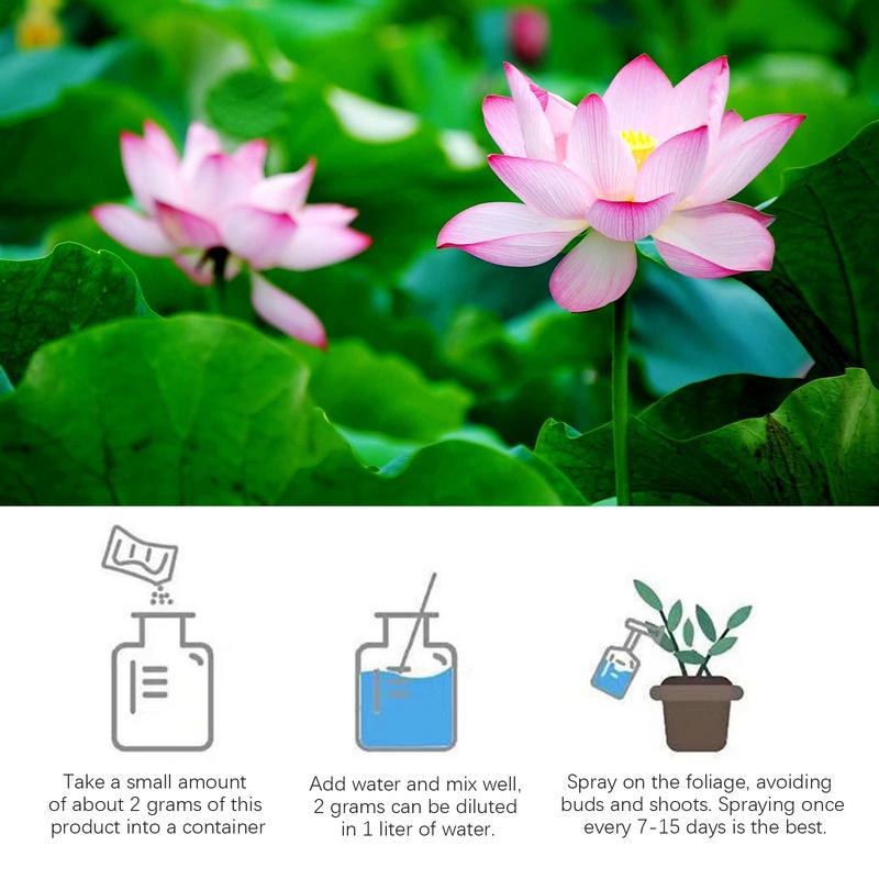 200g Natural Water Lily ดอกปุ๋ - Aquarium Plant Nutrients บทวิจารณ์และราคา