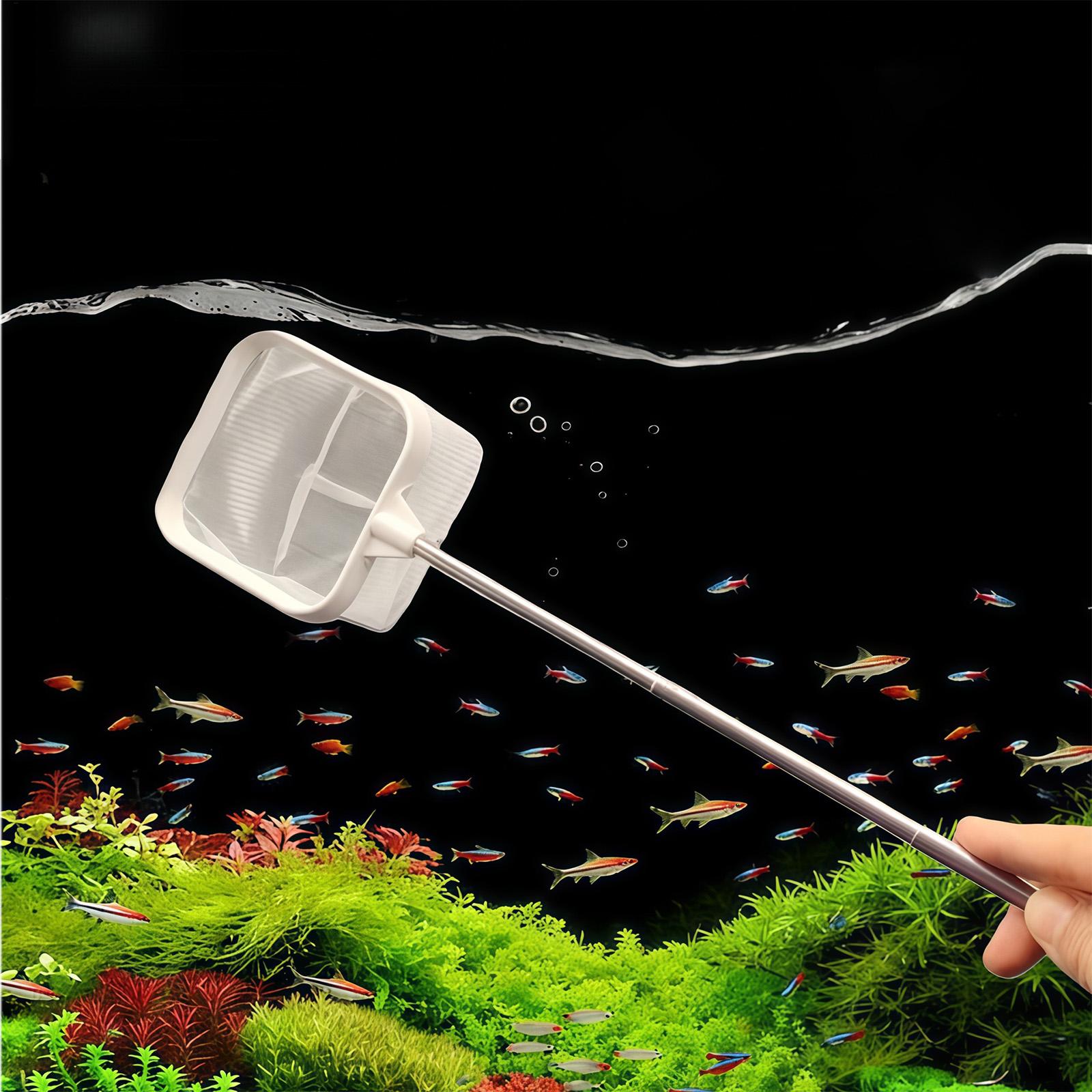 ที่ตักเศษใบไม้ในตู้ปลา/บ่อ/สระ - Aquarium Plant Roots บทวิจารณ์และราคา
