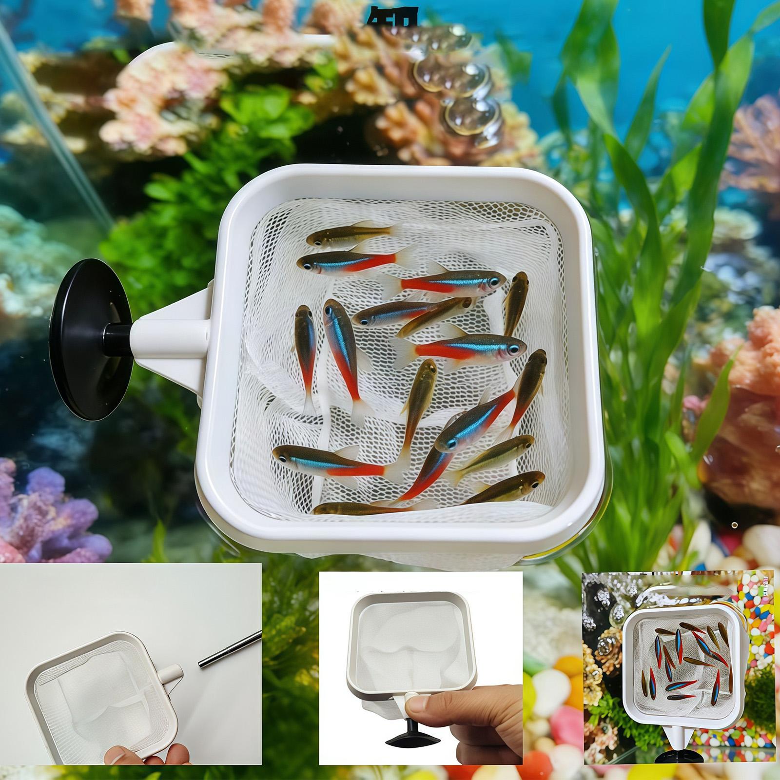 ที่ตักเศษใบไม้ในตู้ปลา/บ่อ/สระ - Aquarium Plant Roots บทวิจารณ์และราคา