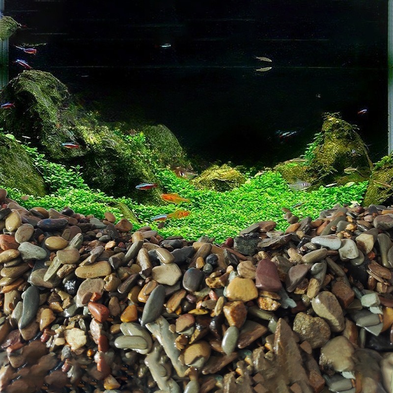 ทรายตกแต่งพื้นตู้ปลาแบบธรรมชาต - Aquarium Planted Sand บทวิจารณ์และราคา
