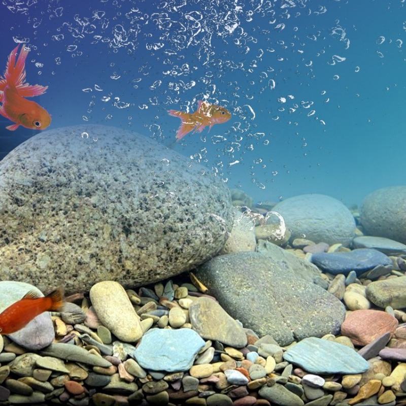 ทรายตกแต่งพื้นตู้ปลาแบบธรรมชาต - Aquarium Planted Sand บทวิจารณ์และราคา