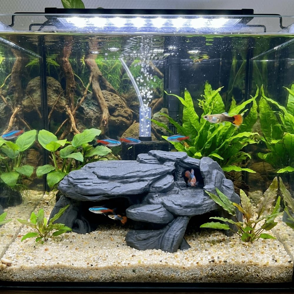 ของตกแต่งตู้ปลาแบบ 3 มิติ รูปท - Aquarium Planted Seeds บทวิจารณ์และราคา