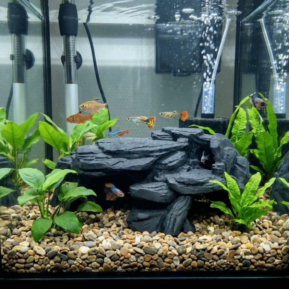 ของตกแต่งตู้ปลาแบบ 3 มิติ รูปท - Aquarium Planted Seeds บทวิจารณ์และราคา