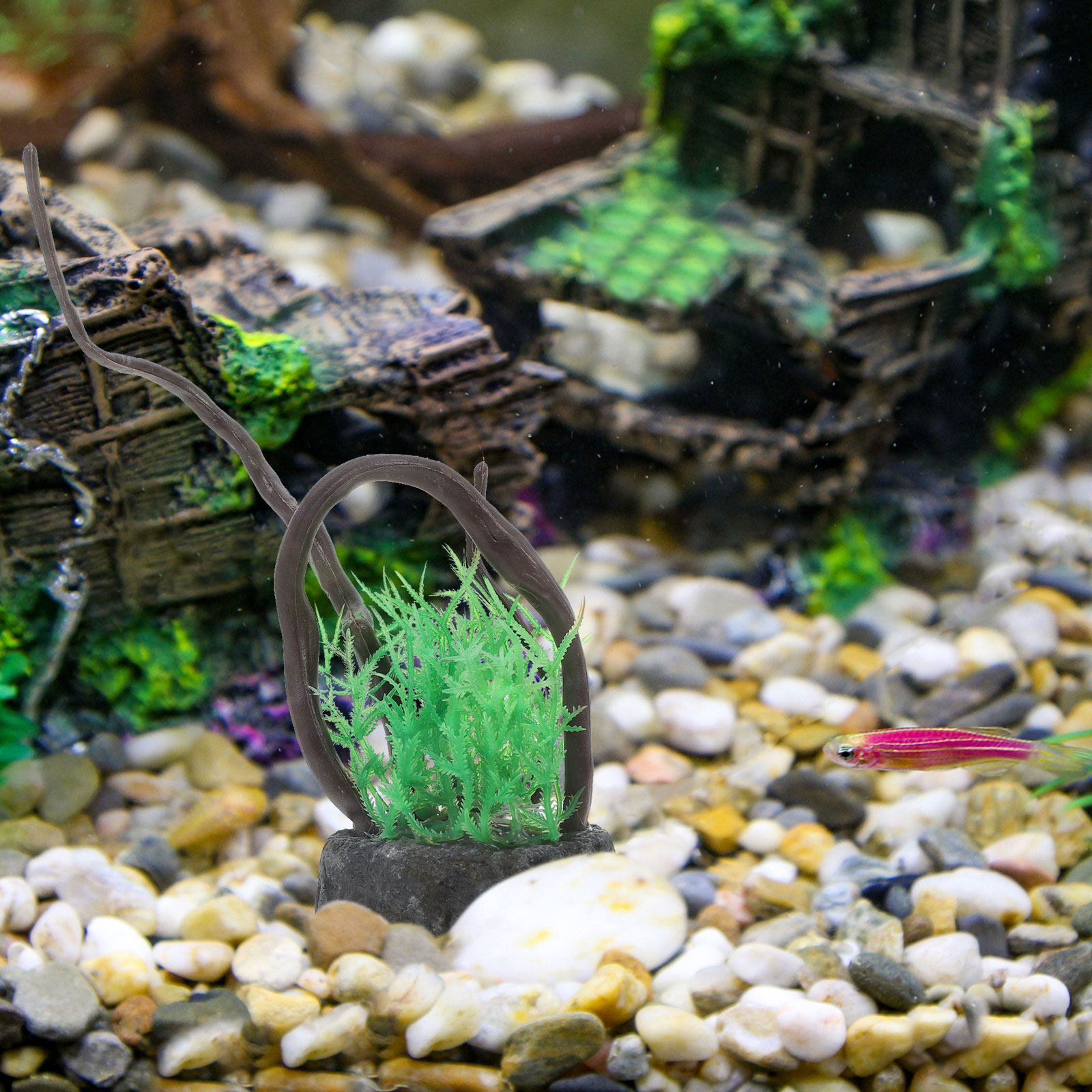 ของตกแต่งตู้ปลาเทียม รูปทรงราก - Aquarium Plant Roots บทวิจารณ์และราคา