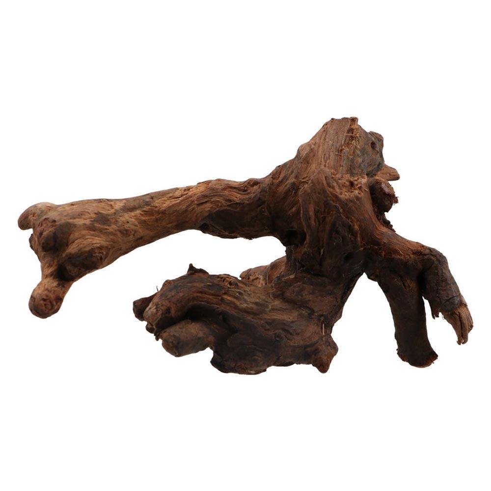 ไม้ปะการังรูปทรงแปลกตา ไม้ธรรม - Aquarium Planted Wood บทวิจารณ์และราคา