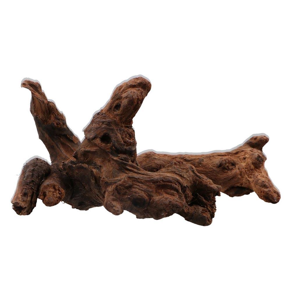 ไม้ปะการังรูปทรงแปลกตา ไม้ธรรม - Aquarium Planted Wood บทวิจารณ์และราคา