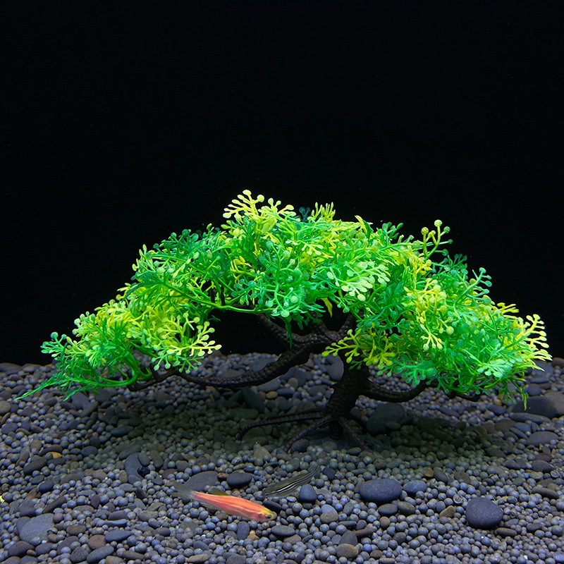 ต้นบอนไซตู้ปลา, พืช, ตกแต่งตู้ - Aquarium Planted Seeds บทวิจารณ์และราคา