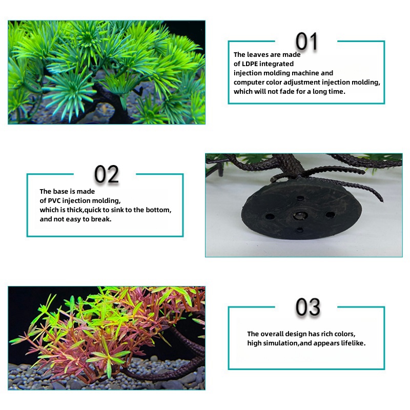 ต้นบอนไซตู้ปลา, พืช, ตกแต่งตู้ - Aquarium Planted Seeds บทวิจารณ์และราคา