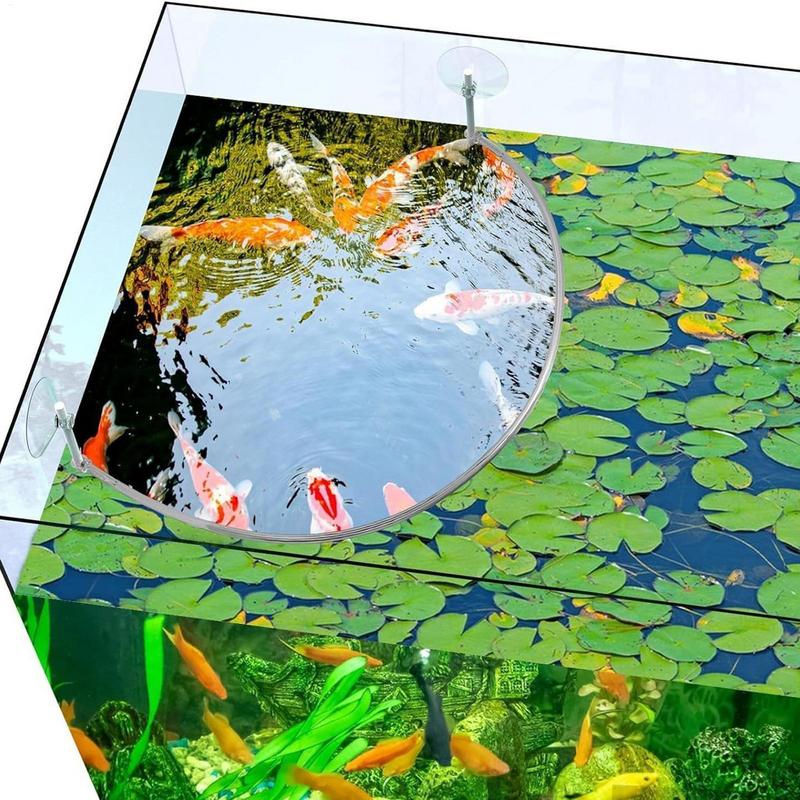พืชลอย Corral Fish Feeding แหว - Aquarium Planted Filter บทวิจารณ์และราคา