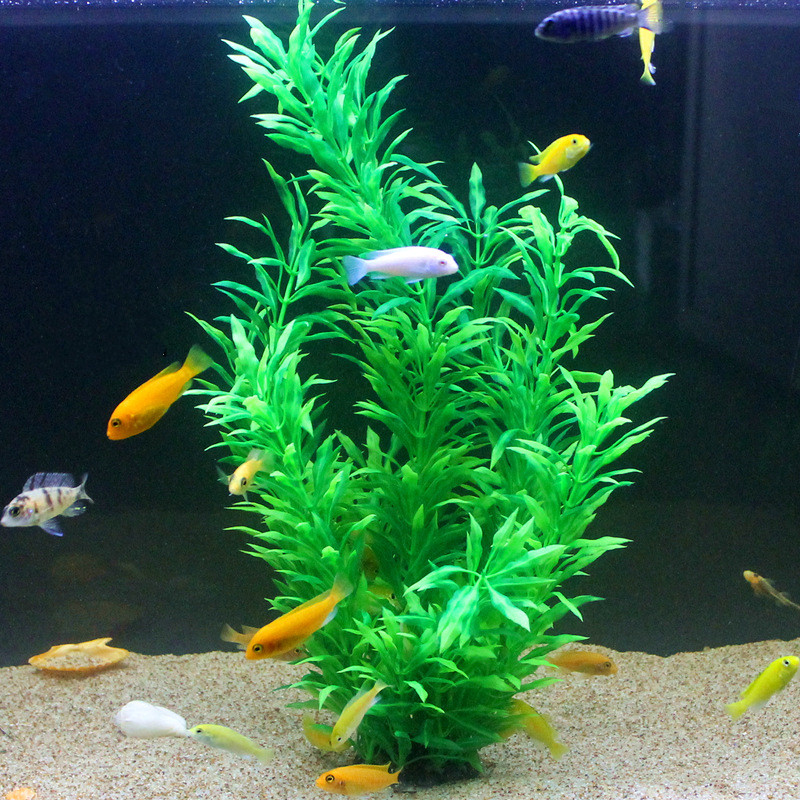 50 ซม.ถังปลาประดิษฐ์พืชหายากAq - Aquarium Plant Roots บทวิจารณ์และราคา