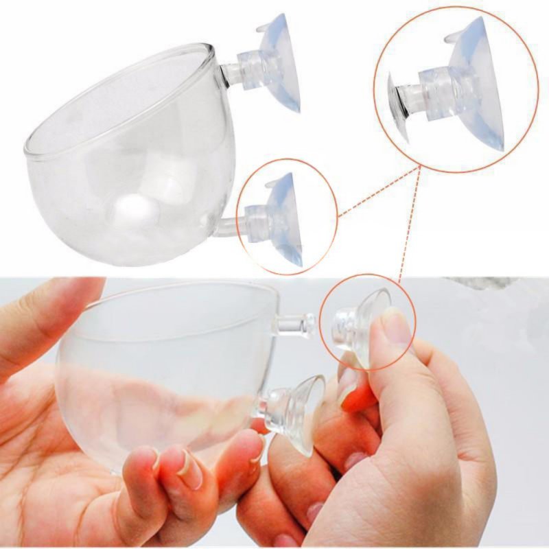 ถ้วยแก้วทรงกระบอกสำหรับกระถางต - Aquarium Planted Seeds บทวิจารณ์และราคา