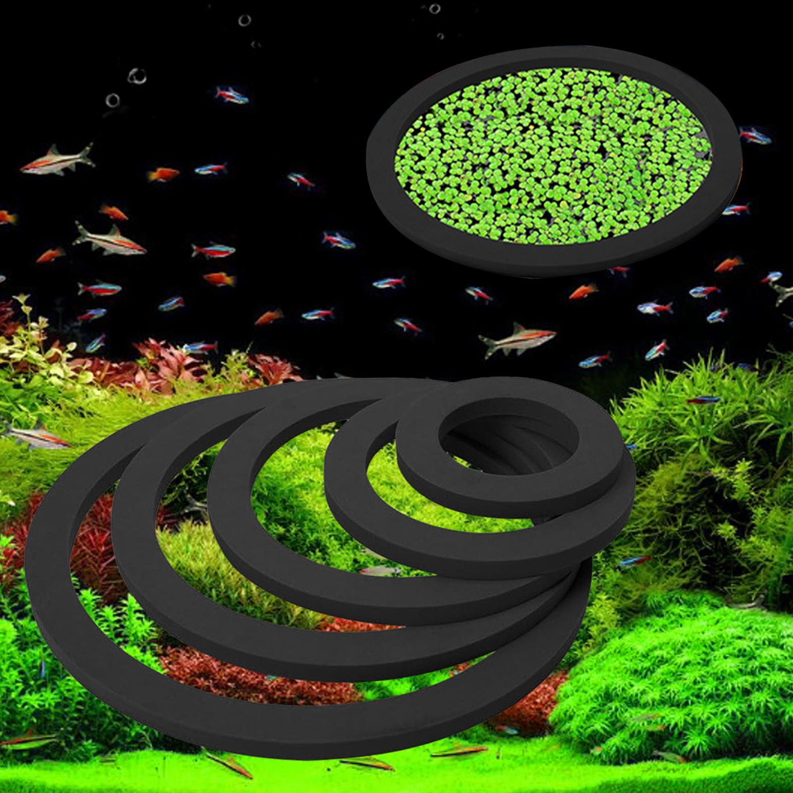 วงแหวนปลูกพืชน้ำแบบลอยน้ำ อุปก - Aquarium Plant Nutrients บทวิจารณ์และราคา