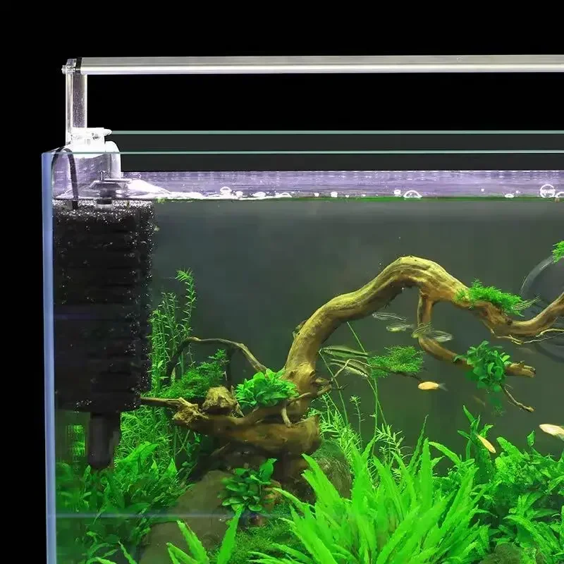 3-IN-1 คลิปบนไฟฟ้าฟองน้ํากรอง  - Aquarium Planted Filter บทวิจารณ์และราคา